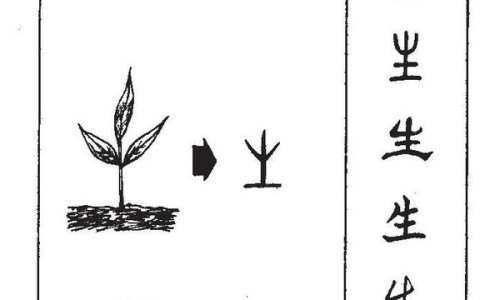 部队基层常用药品-部队常用药网 - 为你提供部队里的药地方有卖吗、部队常用药物一览表